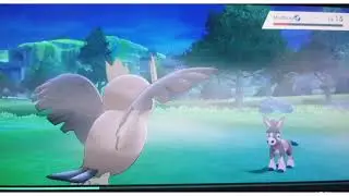 Mario Maker 2 and Pokemon Shield.