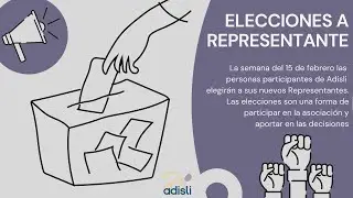 Elecciones a Representante en Adisli