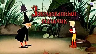 Заколдованный мальчик  1955