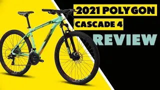 Polygon Cascade 4 Review