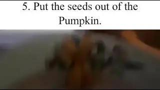 Life Instructions - How to Cut the Pumpkin