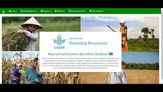 #12 Breeding Analytics Pipeline: On-farm Trial