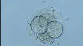 growing documentary