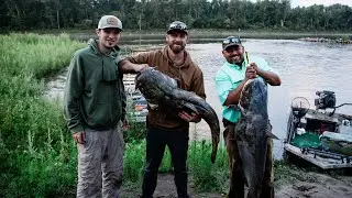 100+ Lbs of MONSTER CATFISH on the Missouri River