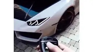 Хамелеон 😍