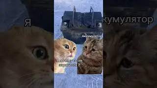 А вы заряжали аккумуляторы на ночь? ❤️😂. #shorts