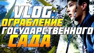 VLOG: ОГРАБЛЕНИЕ ГОСУДАРСТВЕННОГО САДА! ВЛОГ: ШОК КОНТЕНТ!!!
