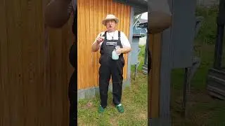 МОЛОЧНЫЙ ЭЛИКСИР ЗДОРОВЬЯ ДЛЯ ЦЫПЛЯТ ! 1.08.2024 год.