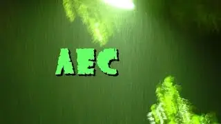 Лес