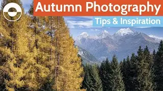 Autumn Photography Walk – Capturing the Fall Season Colour in Your Photos!