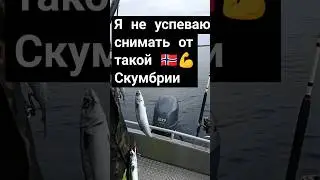 Рыбалка в Норвегии с Иванычем, ловля Скумбрии в Норвегии.