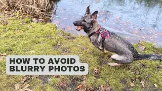 How to avoid blurry photos in mobile photography (Samsung, Xiaomi, iPhone)
