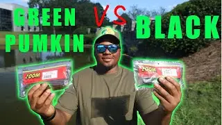 what is better BLACK or GREEN PUMKIN TRICK WORM