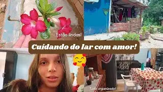 Vlog cuidando do lar com amor!😍
