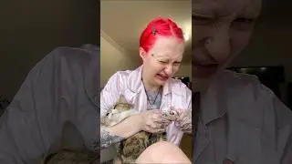 СТРИГУ СВОЕЙ КОШКЕ ОГРОМНЫЕ НОГТИ 💅🏻 