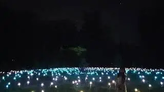 Живое поле в Ожившем парке