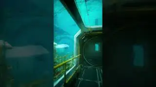 Discover the magic of Subnautica's world in Unreal Engine 5 RTX - but in 8k 60 fps | 