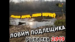 Feeder fishing, catching large bream on the lake (Lake Krugloe, Voronezh)