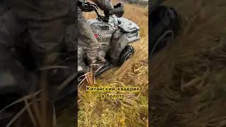 Рискуем квадроциклом Loncin XWolf 700 в болоте 