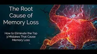Inflammation Is The Villain Destroying Your Memory