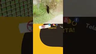 Telas contra insetos   Telas Mundi