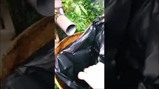 🏠Старая дырявая бочка еще послужит