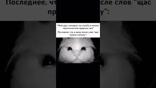 #мем