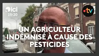 L'indemnisation des maladies professionnelles dans le milieu agricole, la question des pesticides