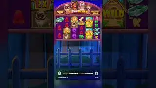 Очень МНОГО ВИЛДОВ в DOg house megaways 🔥🤑 Шикарный Занос 