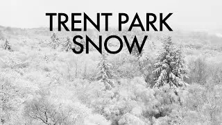 Snowy Morning in Trent Park - London