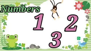 Learn Numbers 1 To 50 | counting for kids| @MSkidslearning