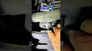Каждый раз когда мастер видит на поддонах авто столько магнитов сразу понимает человек разбирается