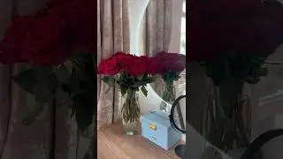 Какие цветы любите вы? #рекомендации #калининград #влог