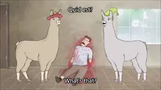 Llamas with Hats in Latin