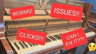 Fixing an old Petrof piano in desperate need of help!! PART 1
