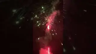 The Champ 🥇 150shot Firework Cake