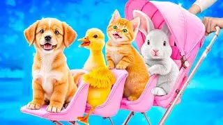 Мы построили секретные домики для животных!