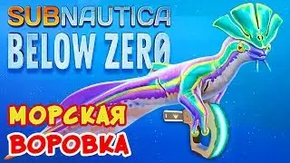 Sea THIEF ● Game Subnautica BELOW ZERO walkthrough #11
