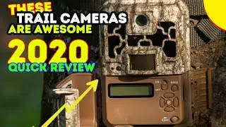 ✅ Best Trail Cameras 2020