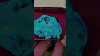 241 carat gem black opal. Worth $482,000 