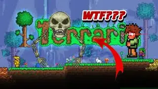 Terraria's Dungeon in a nutshell