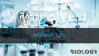 Mirror Life - E96