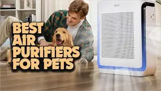 Say Goodbye to Pet Dander: Best Air Purifiers | Top Picks for Pet Owners