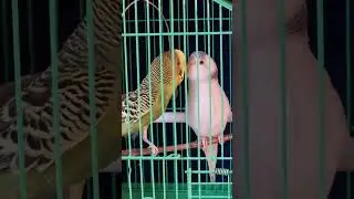 На нервах