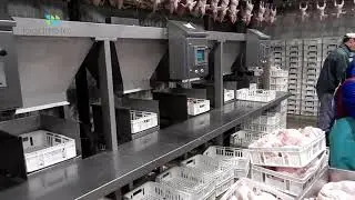 Линия разделки птицы Foodmate Flex с Bypass