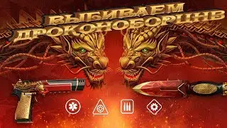 ВЫБИВАЕМ ОРУЖИЕ ДРАКОНОБОРЕЦ)