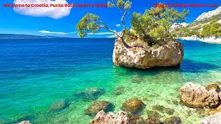 Nando Fortunato - New Destination