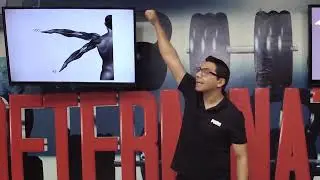 Posición Anatomica - Certificación en Biomecánica