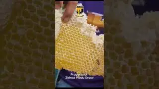 MADU RANDU