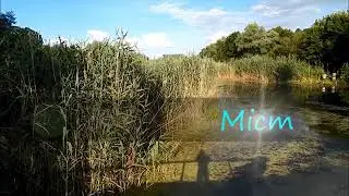 Мартоноша р.Высь (прогон и мост)